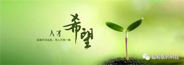 晶易醫(yī)藥獲評(píng)就業(yè)見習(xí)基地與研究生培養(yǎng)創(chuàng)新基地，構(gòu)筑人才發(fā)展新臺(tái)階